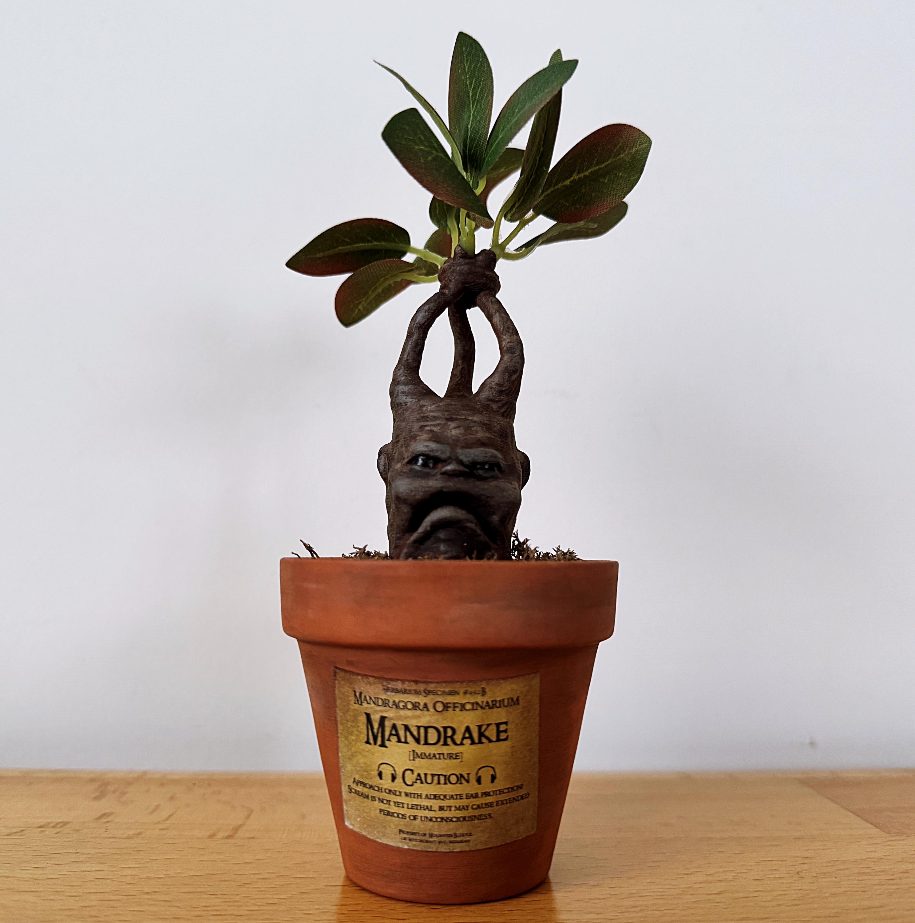 Mandrake figurine - Etsy 日本