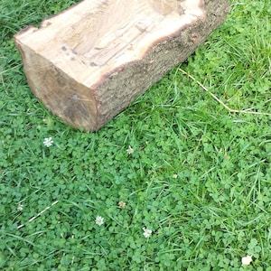 Oak planting bowl