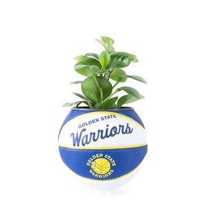 plntrs - Wilson Warriors Hardcourt Classic Mini Basketball Planter - new ball with stand