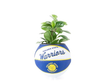 plntrs - Wilson Warriors Hardcourt Classic Mini Basketball Planter - new ball with stand