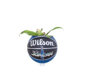 plntrs - Jordan Vintage Mini Basketball Planter - nueva pelota con soporte