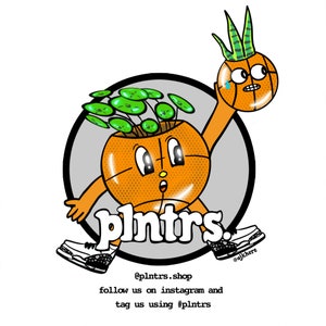 Puede incluir: Un bal&oacute;n de baloncesto de dibujos animados con una cara y una planta que crece en la parte superior, sosteniendo otro bal&oacute;n de baloncesto. El bal&oacute;n de baloncesto lleva zapatillas y tiene el texto "plntrs." en la parte inferior. El texto "@plntrs.shop follow us on instagram and tag us using #plntrs" est&aacute; debajo de la imagen.