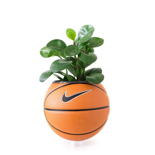Mini Basketball Planter Etsy