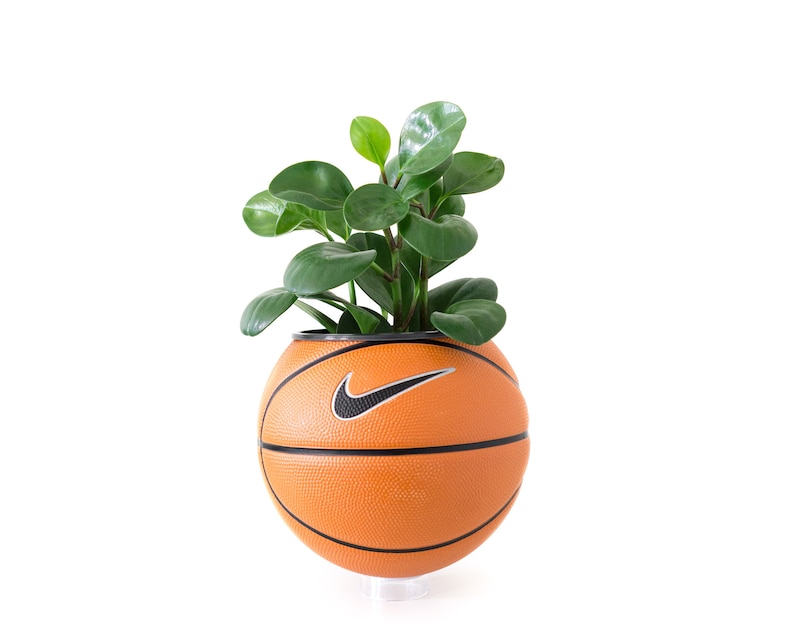 Puede incluir: Una maceta de baloncesto con una planta verde que crece fuera de ella. La pelota de baloncesto tiene un logotipo de Nike negro en forma de swoosh.
