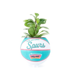 plntrs - Wilson San Antonio Spurs Hardcourt Classic Mini Basketball Planter - new ball with stand