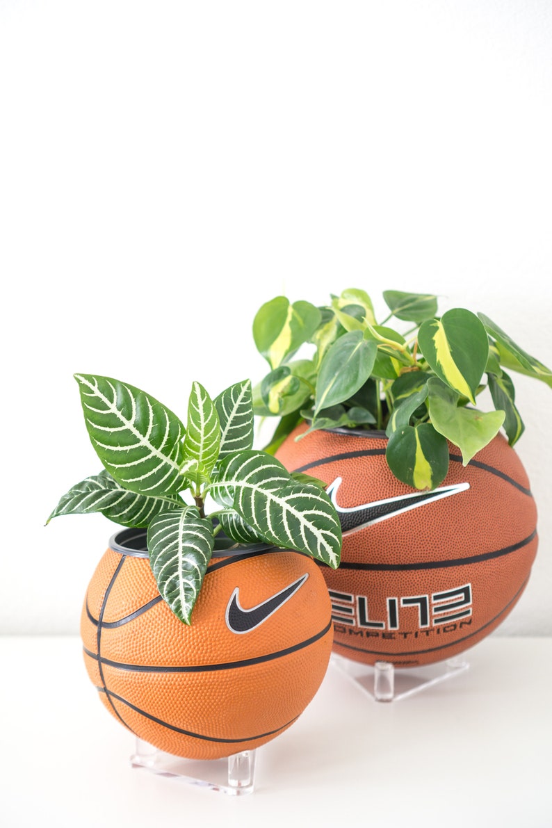 Puede incluir: Dos balones de baloncesto con el logotipo de Nike, utilizados como macetas para plantas verdes. Los balones de baloncesto est&aacute;n sobre soportes de acr&iacute;lico transparente. El bal&oacute;n de baloncesto de la derecha tiene el texto "ELITE COMPETITION".