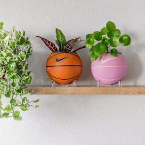 Puede incluir: Dos plantas en macetas con forma de bal&oacute;n de baloncesto. La maceta de la izquierda es naranja con un logotipo de Nike negro en forma de swoosh. La maceta de la derecha es rosa con un logotipo de Nike blanco en forma de swoosh. Ambas macetas est&aacute;n en una estanter&iacute;a de madera.