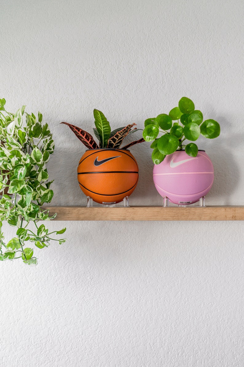Puede incluir: Dos plantas en macetas con forma de bal&oacute;n de baloncesto. La maceta de la izquierda es naranja con un logotipo de Nike negro en forma de swoosh. La maceta de la derecha es rosa con un logotipo de Nike blanco en forma de swoosh. Ambas macetas est&aacute;n en una estanter&iacute;a de madera.