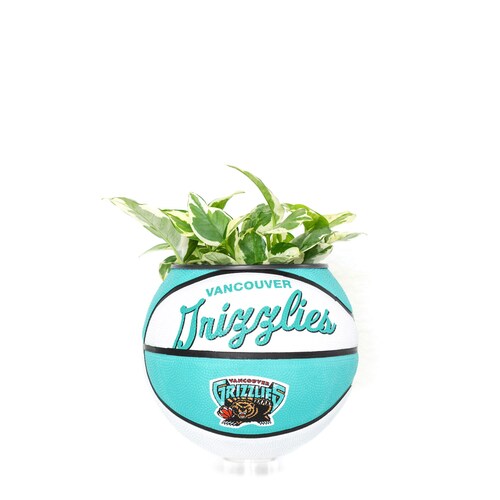 Mini Basketball Planter Etsy