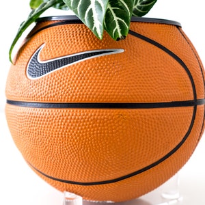 Puede incluir: Una maceta de baloncesto con una planta verde creciendo fuera de ella. La pelota de baloncesto tiene un logotipo de Nike swoosh y est&aacute; sentada sobre un soporte de acr&iacute;lico transparente.