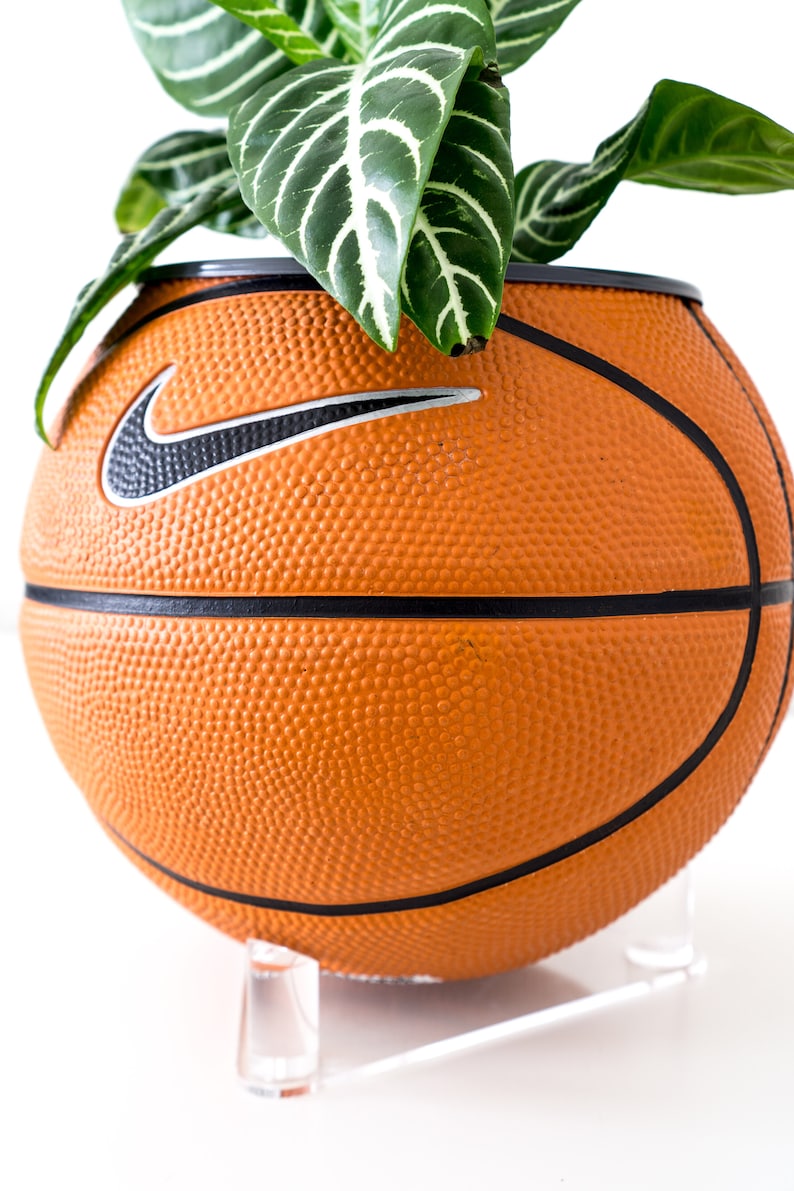Puede incluir: Una maceta de baloncesto con una planta verde creciendo fuera de ella. La pelota de baloncesto tiene un logotipo de Nike swoosh y est&aacute; sentada sobre un soporte de acr&iacute;lico transparente.