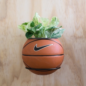 Puede incluir: Una maceta de baloncesto con el logotipo de Nike, llena de una planta verde y blanca variegada.