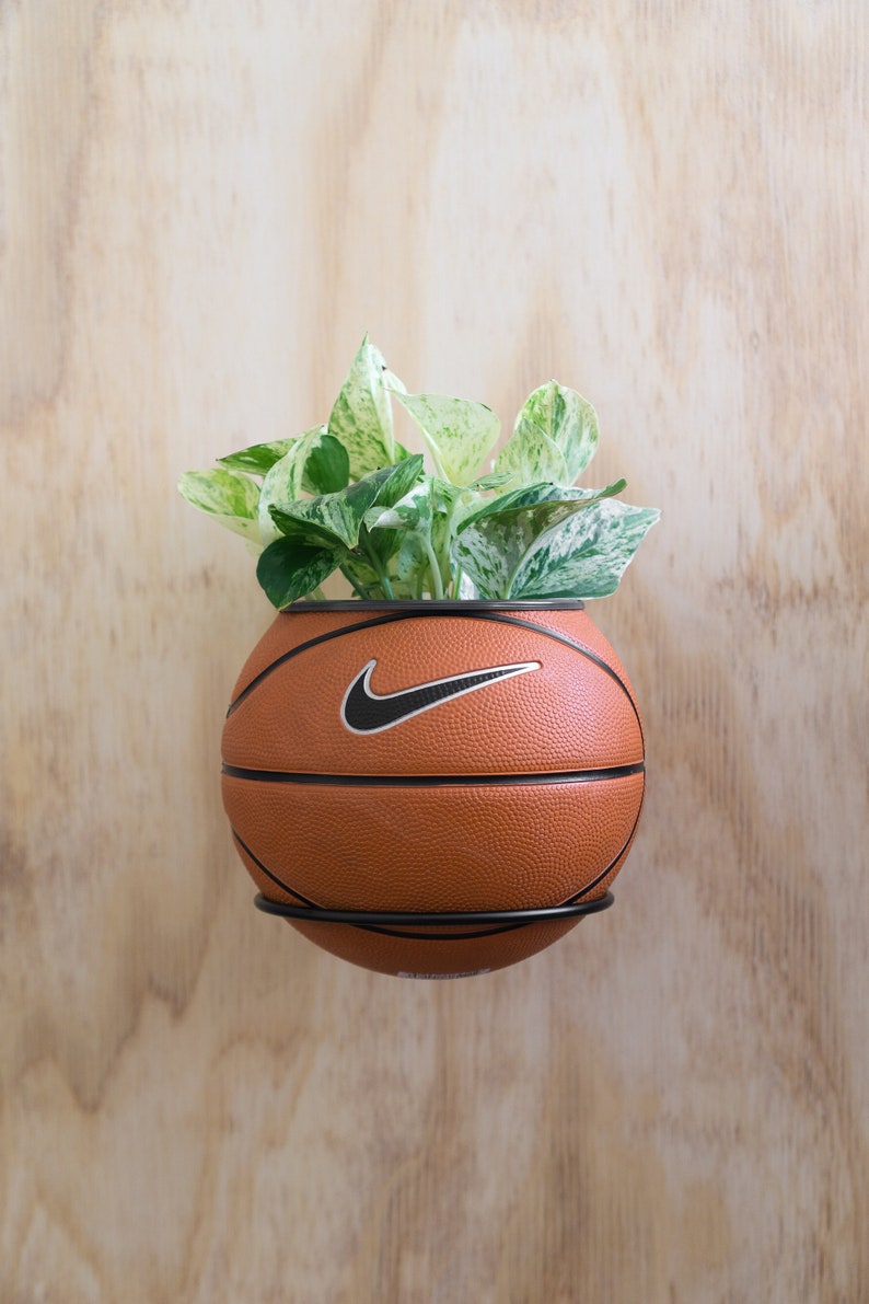 Puede incluir: Una maceta de baloncesto con el logotipo de Nike, llena de una planta verde y blanca variegada.