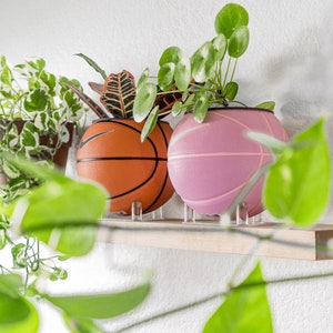 Puede incluir: Dos balones de baloncesto pintados en naranja y rosa se utilizan como macetas para plantas verdes. Los balones de baloncesto est&aacute;n en un estante de madera contra una pared blanca.