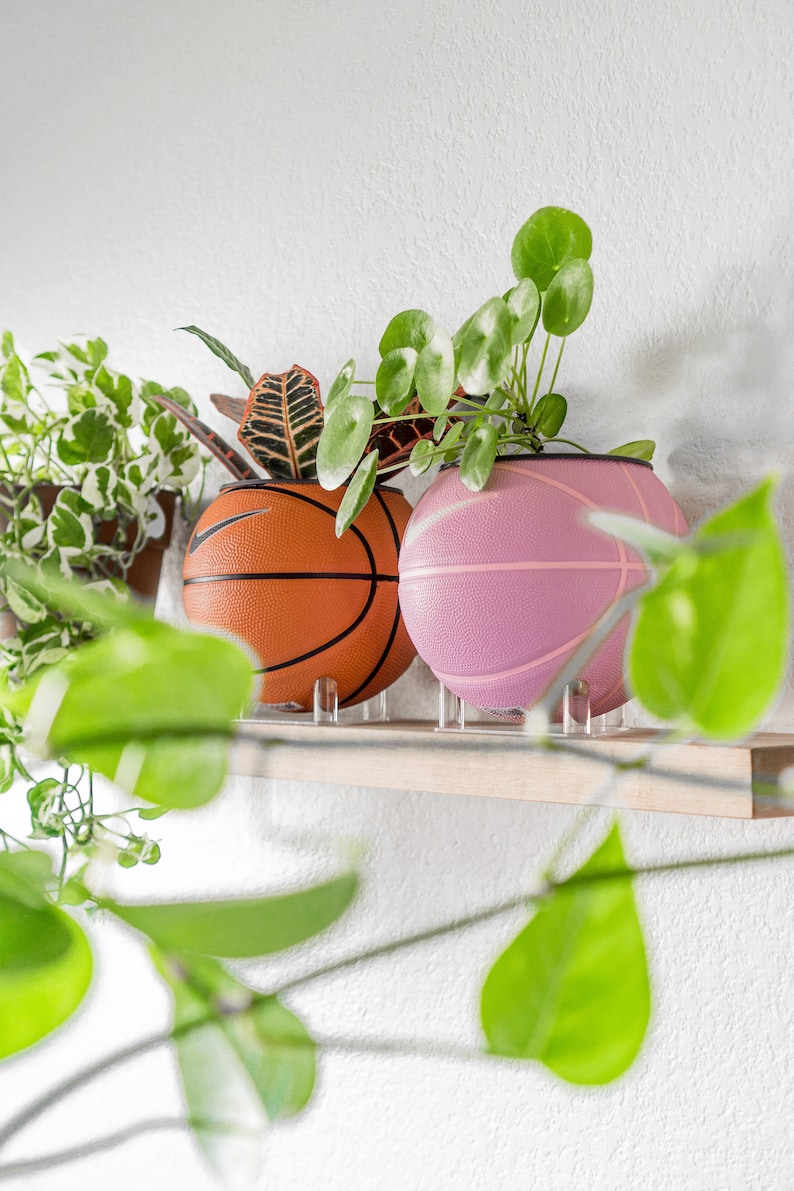Puede incluir: Dos balones de baloncesto pintados en naranja y rosa se utilizan como macetas para plantas verdes. Los balones de baloncesto est&aacute;n en un estante de madera contra una pared blanca.