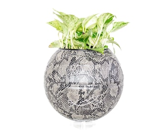 plntrs - Kobe Bryant Snake Mamba Basketball Planter con stand