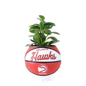 plntrs - Wilson Atlanta Hawks Hardcourt Classic Mini Basketball Planter - new ball with stand