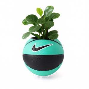 Könnte beinhalten: Ein teal- und schwarzfarbener Basketball-Blumentopf mit schwarzem Nike-Swoosh-Logo. Der Pflanztopf enthält eine grüne Pflanze mit Blättern. Der Pflanztopf besteht aus einem strukturierten Material und steht auf einem transparenten Sockel.