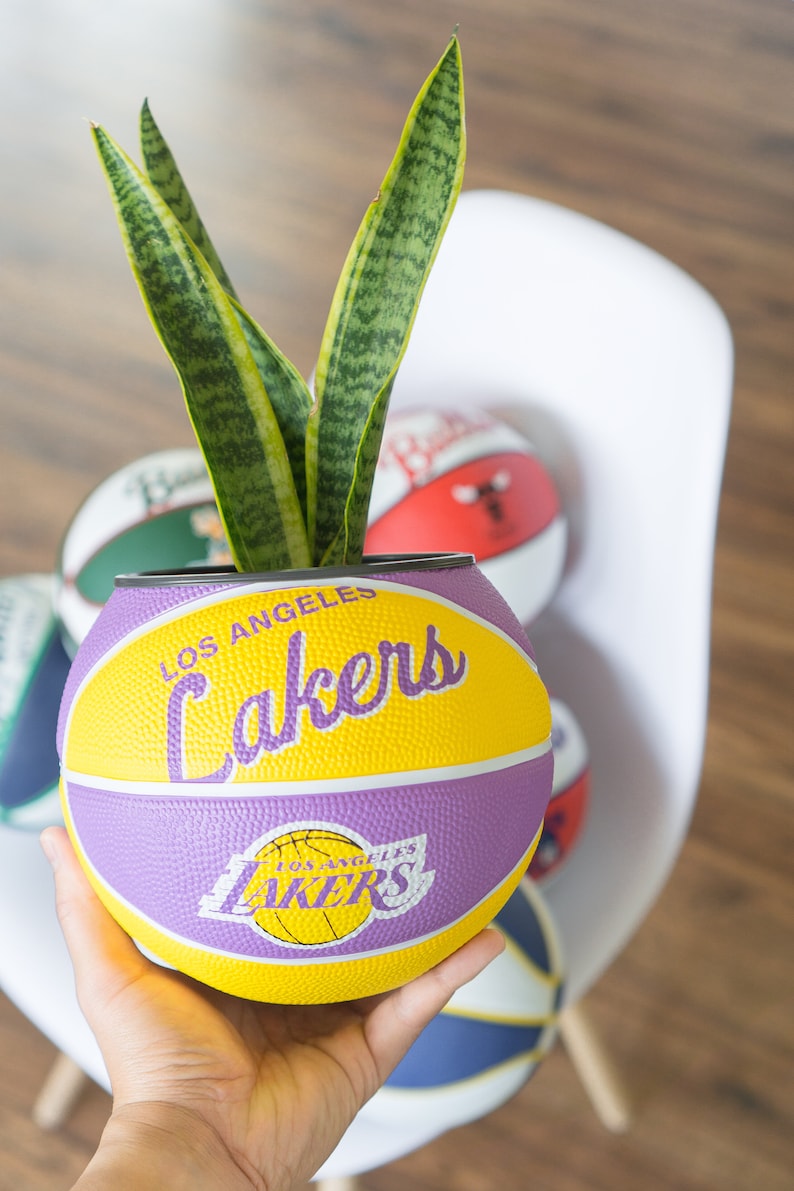 Plntrs Wilson Lakers Hardcourt Classic Mini Basketball Etsy
