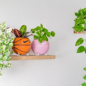 Puede incluir: Dos plantas en macetas en un estante de madera. Las plantas est&aacute;n en macetas con forma de bal&oacute;n de baloncesto, una naranja y otra rosa.