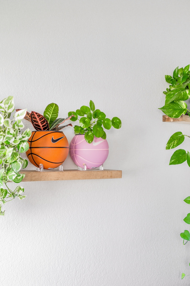 Puede incluir: Dos plantas en macetas en un estante de madera. Las plantas est&aacute;n en macetas con forma de bal&oacute;n de baloncesto, una naranja y otra rosa.