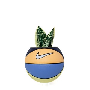 plntrs - Nike Swoosh Polar Melon Skills Mini Basketball Planter - new ball with stand