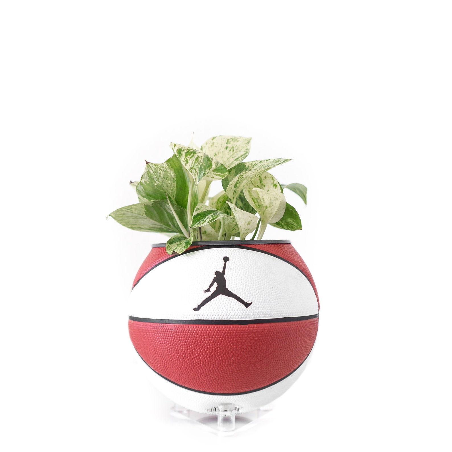 Plntrs Jordan Skills Mini Basketball Planter With Stand Etsy