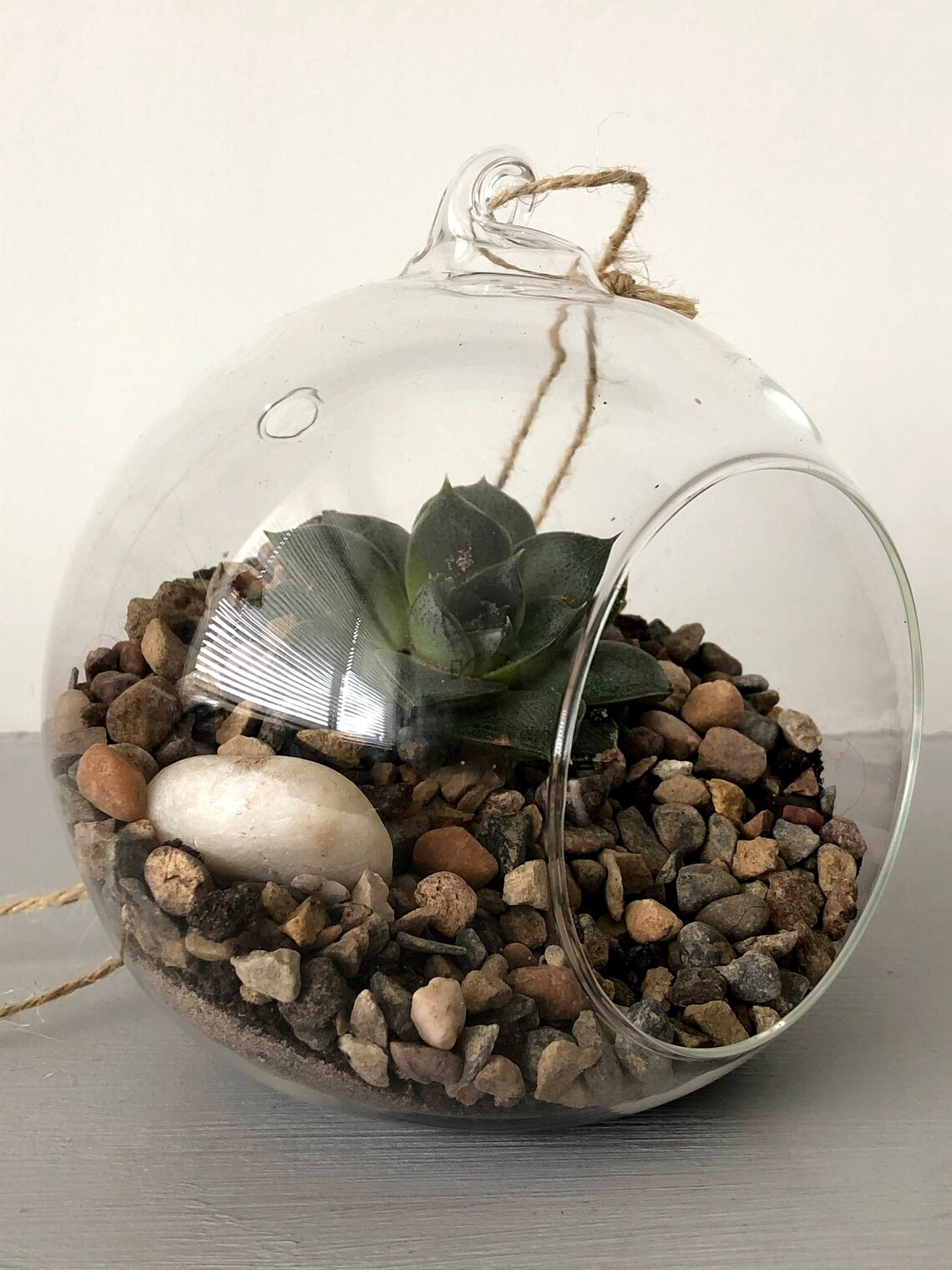 Succulent Glass Terrarium Kit DIY Etsy
