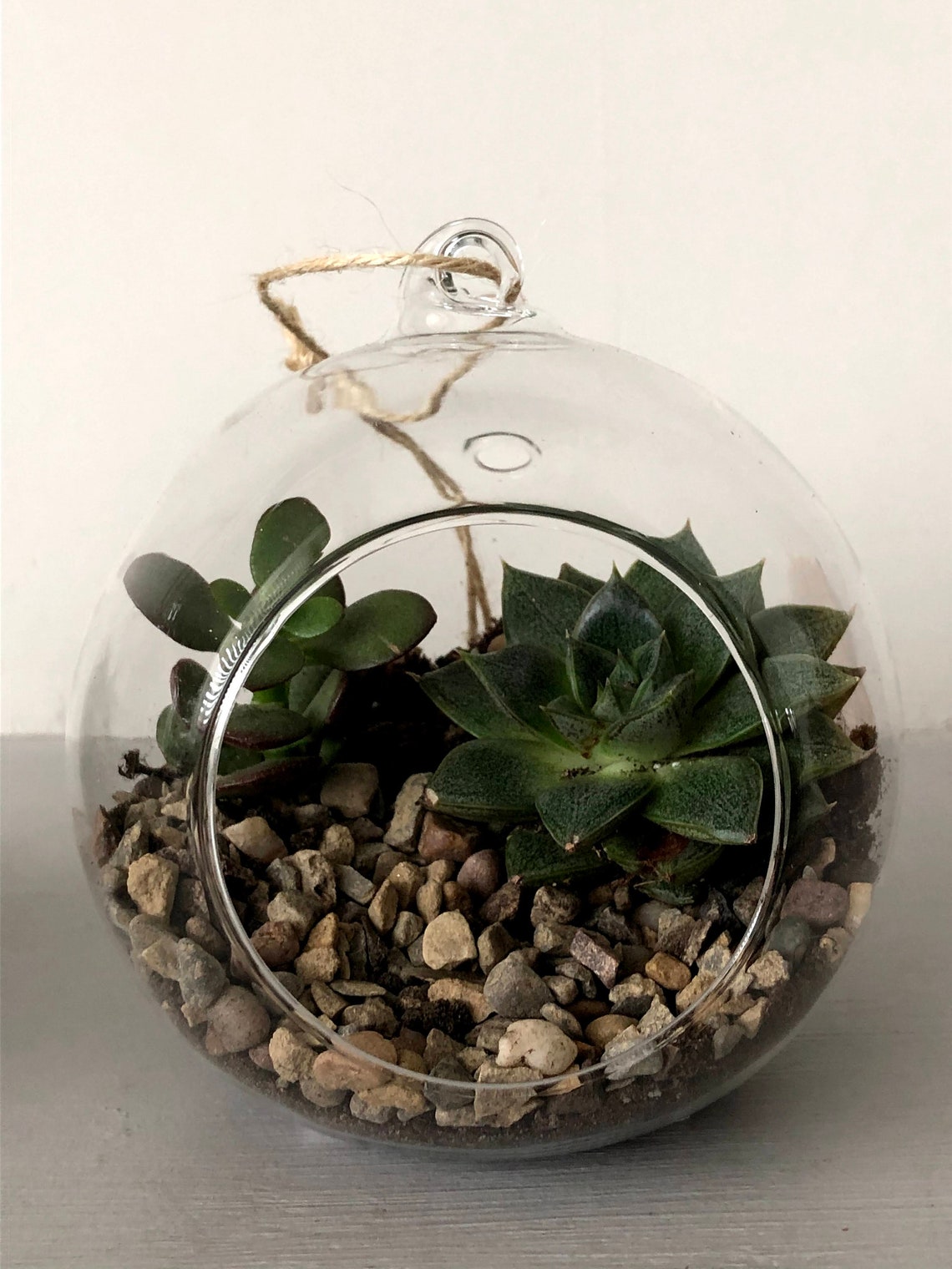 Succulent Glass Terrarium Kit DIY Etsy