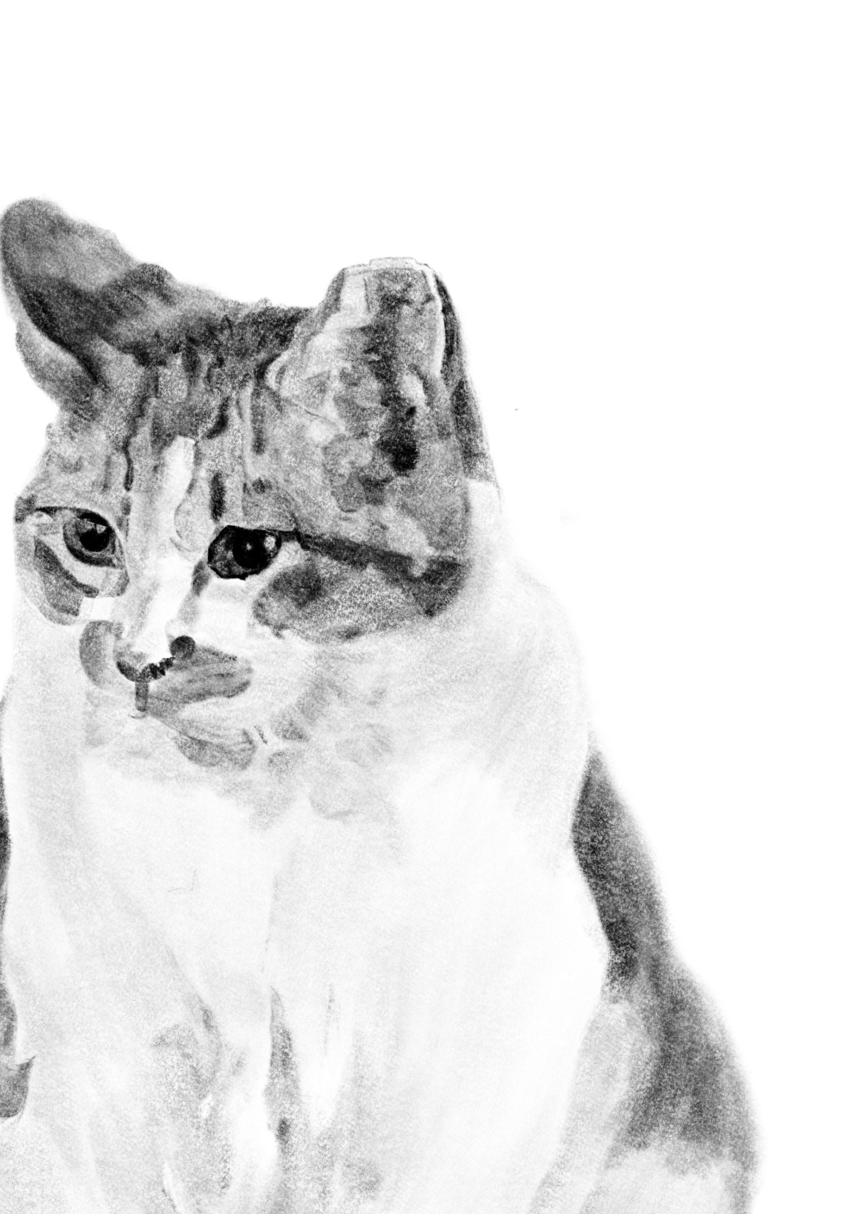 Vintage Cat Drawing Printable Tabby Kitten Cheese Tabby Etsy