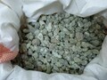 Royal hojari frankincense boswella sacra 1 lb (0.45kg) product logo