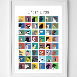A2 British Birds poster print