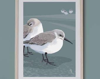 A4 Giclee print of a Dunlin