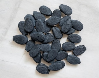 Watermelon Seeds, Seed embeds, realistic embeds, faux food
