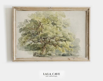 Antique Printable Oak Tree Watercolor Artwork . Vintage Prints Instant Download . Tree Painting . Digital Art Prints . LLC-AA0036