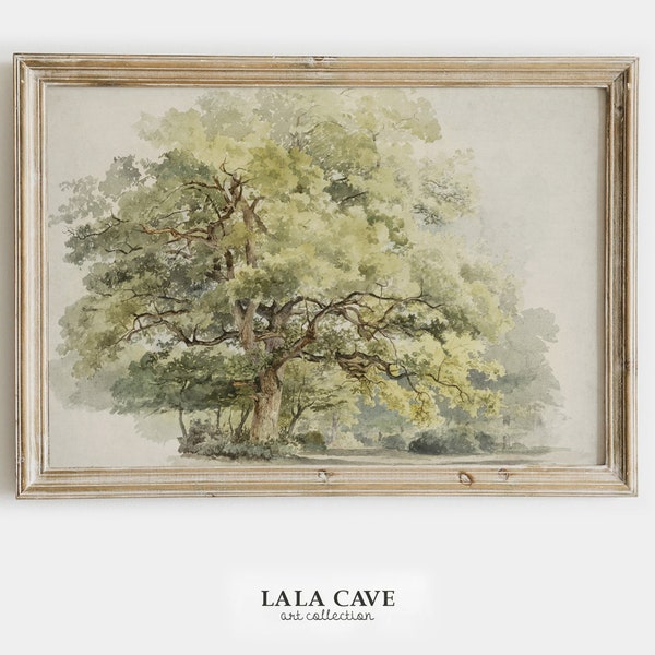 Antique Printable Oak Tree Watercolor Artwork . Vintage Prints Instant Download . Tree Painting . Digital Art Prints . LLC-AA0036