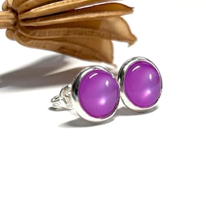 Könnte beinhalten: Ohrstecker mit einem leuchtend violetten, oval geformten Mittelstein in silberfarbenem Metall. Die Ohrringe sind vor einem weißen Hintergrund zu sehen, mit einer getrockneten Samenkapsel in der oberen linken Ecke.
