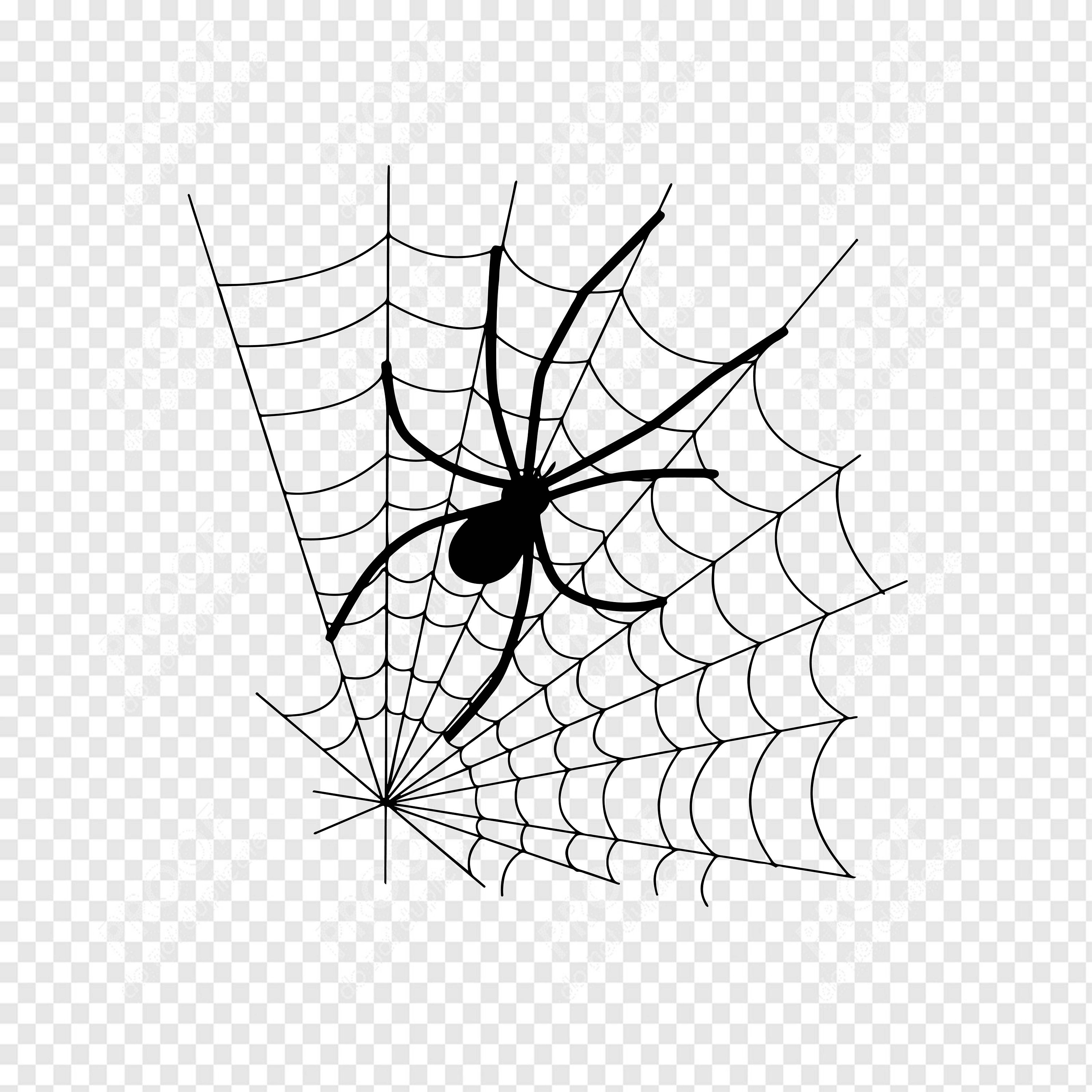 Spider SVG png Halloween SVG Vector Files Spiderweb SVG Files Dxf Cute Spiderweb Svg Spider Web Cut Files