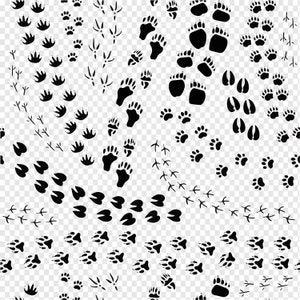 Animal Footprints Svg, Animal Tracks Svg, Animal Paw Prints, Png, Dxf, Pet Paw Clipart, Paw Silhouette, Cricut Cut Files, Cameo, Damask svg