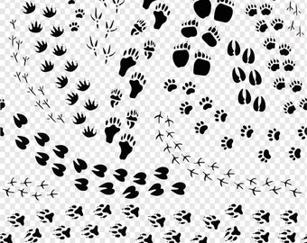 Animal footprints : 116 289 images, photos de stock, objets 3D et images  vectorielles