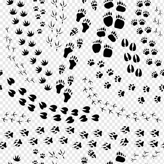 Animal Footprints Svg Animal Tracks Svg Animal Paw Prints Etsy