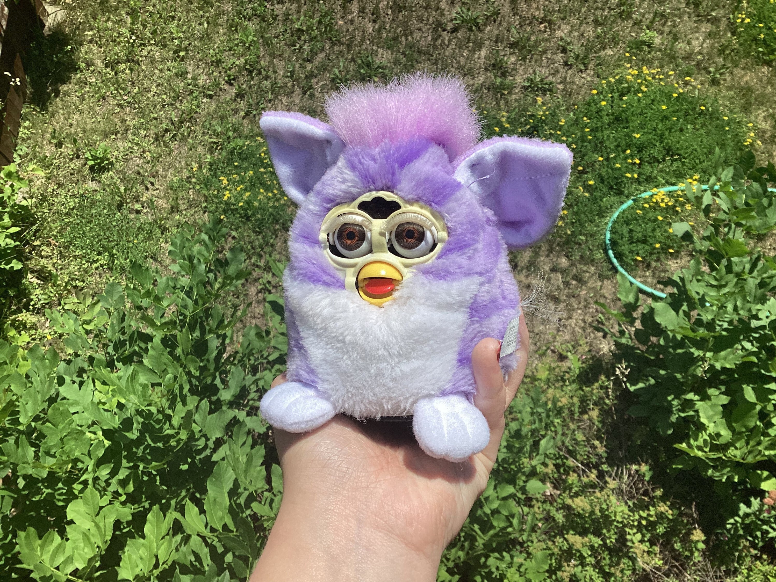 WORKING Purple Stripes Furby Baby || Purple & White W/brown Eyes