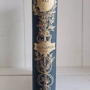 Mohammed Ali and His House by Louisa Muhlbach (1897) D. Appleton & Company, Rare Vintage Book