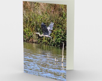 Great Blue Heron Taking Flight Stationery