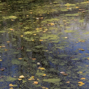 Impressionist Reflection in Water