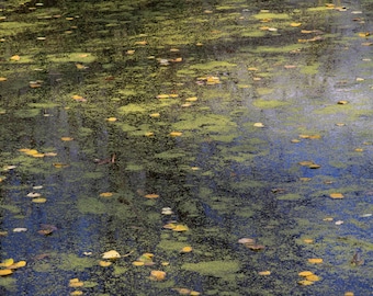 Impressionist Reflection in Water