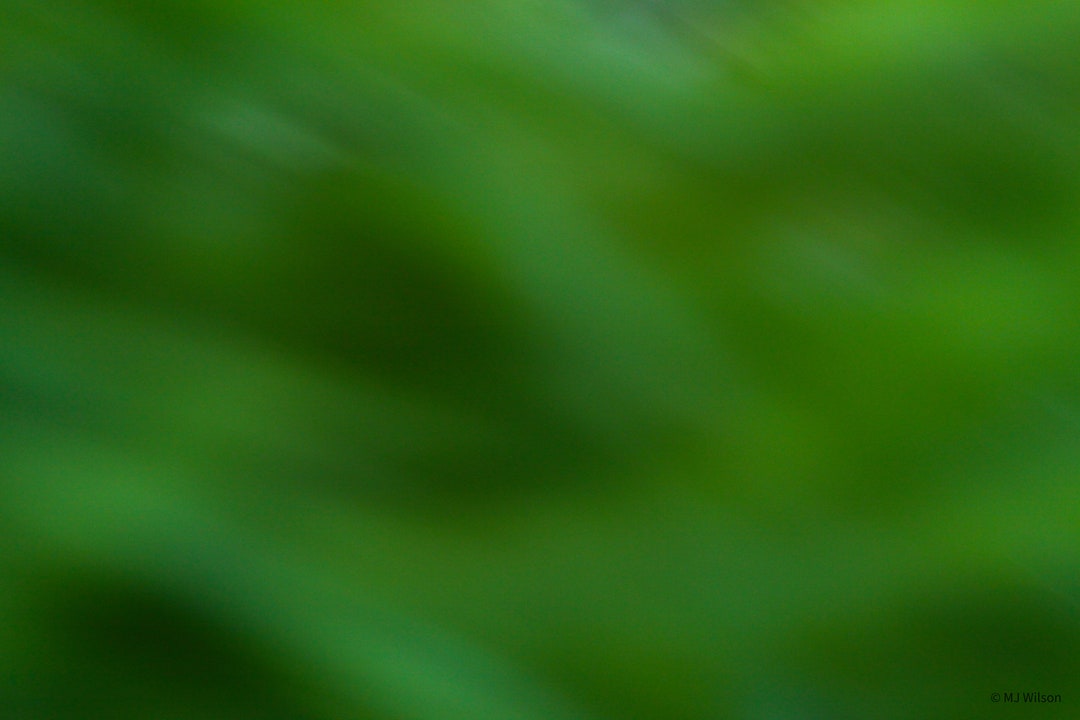 Abstract in Green - Etsy