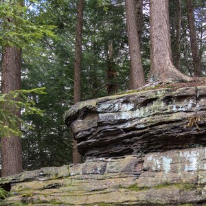 Unique Rock Formation With Trees