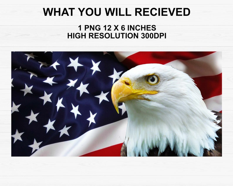 American Flag With Eagle License Plate Red White Blue USA Etsy