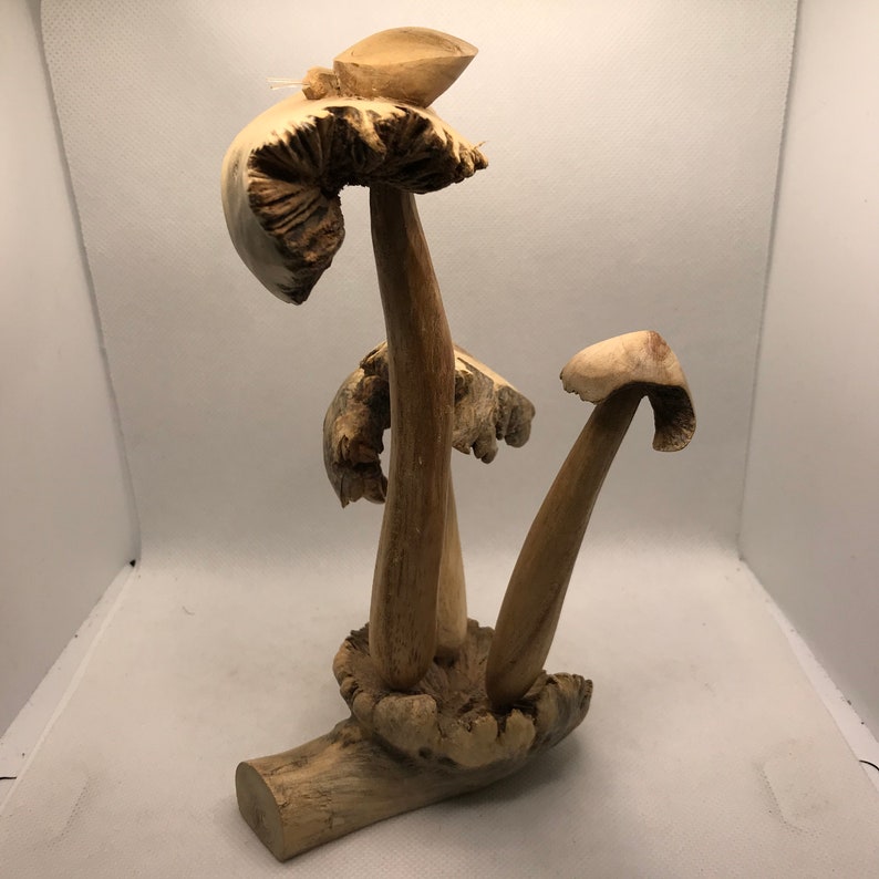 Hand Carved Parasite mushroom with lady bug